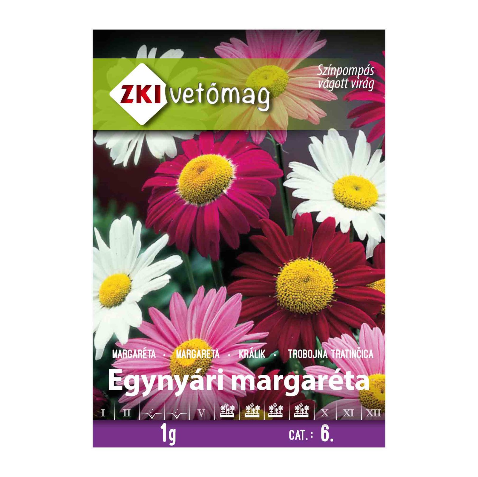 ZKI Egynyári margaréta (Chrysanthemum carinatum) mag