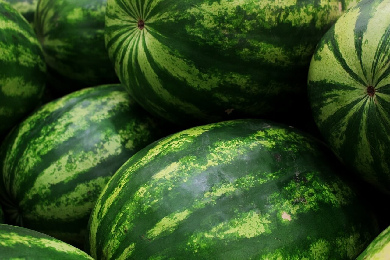 görögdinnye vetőmagszükséglet